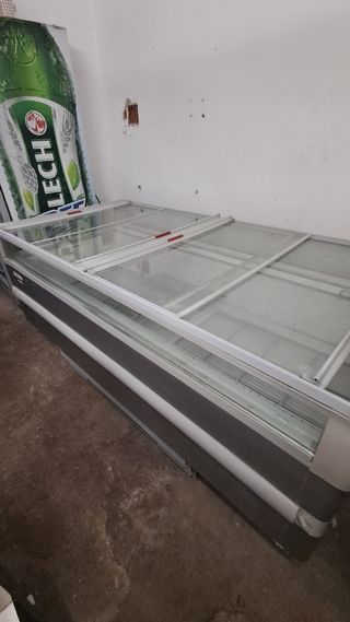 Congelador expositor
