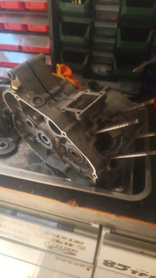 Motor AM6 (74cc)