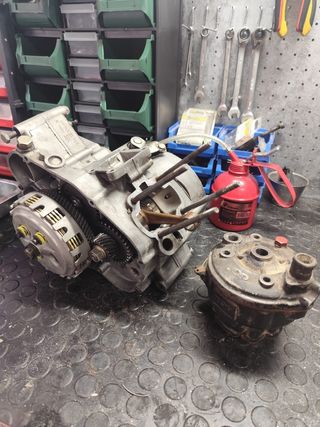 Motor AM6 (74cc)