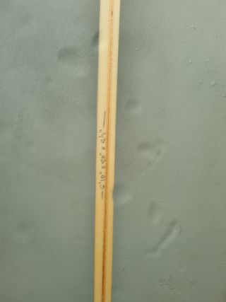 Tabla surf evolutiva 6'10''
