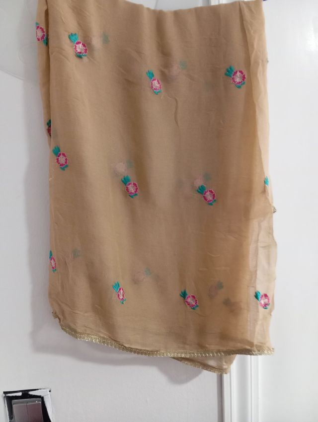 Dopatta de gasa beige bordado