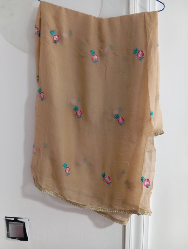 Dopatta de gasa beige bordado