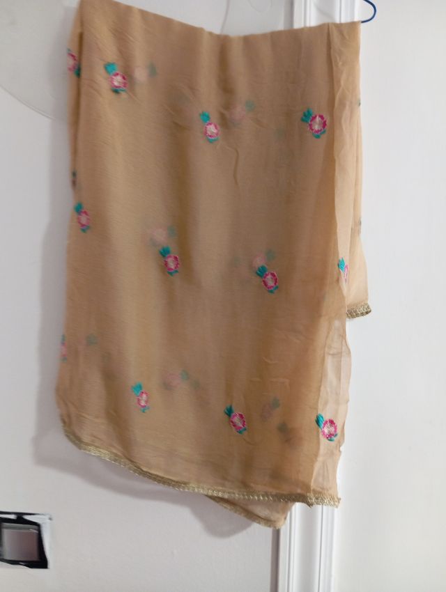 Dopatta de gasa beige bordado