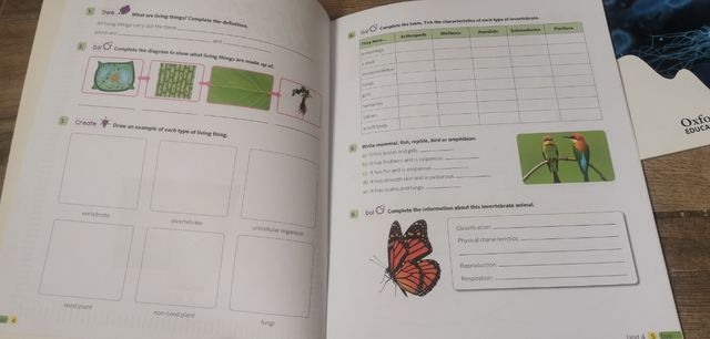 New Think Do Learn Natural Sciences 6. Activity...