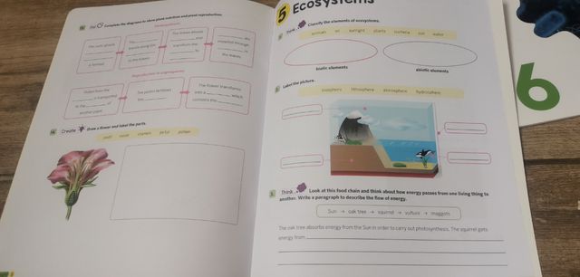New Think Do Learn Natural Sciences 6. Activity...