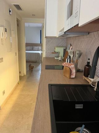Piso en alquiler en Torrequebrada en Benalmádena