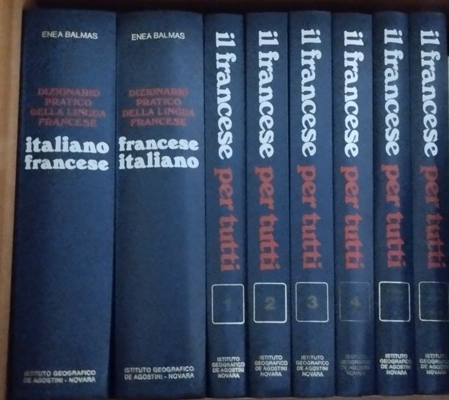 Dizionari di francese+ corso Il Francese per tutti