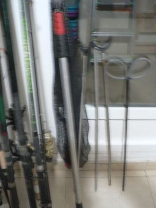 7 Cañas Pesca Carbono - Carretes