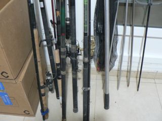 7 Cañas Pesca Carbono - Carretes