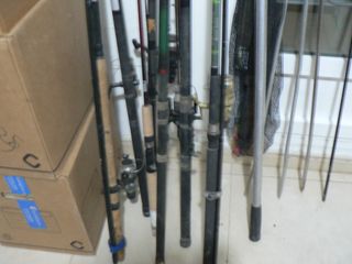 7 Cañas Pesca Carbono - Carretes