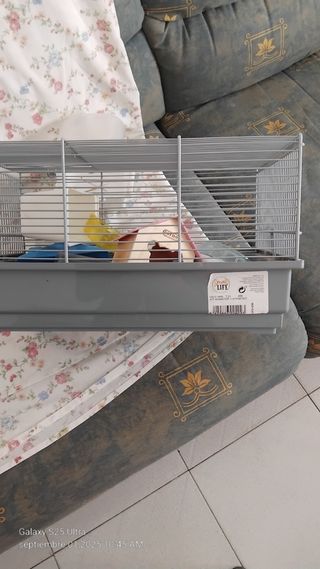 Jaula hamster gris - Small Life