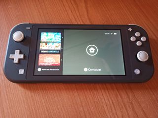 Nintendo Switch Lite grigio + caricabatterie + custodia