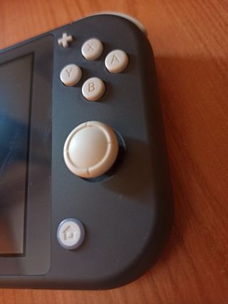 Nintendo Switch Lite grigio + caricabatterie + custodia