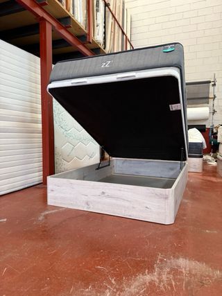 CANAPE Y COLCHON FLEX zZ3 POCKET WBx VISCO 135x200
