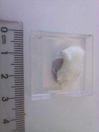 Artinita mineral