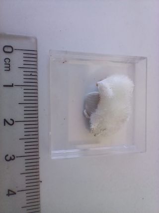 Artinita mineral