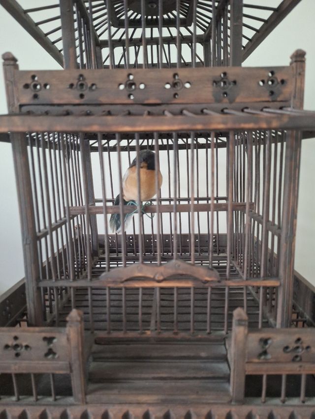 Jaula de Madera estilo Oriental