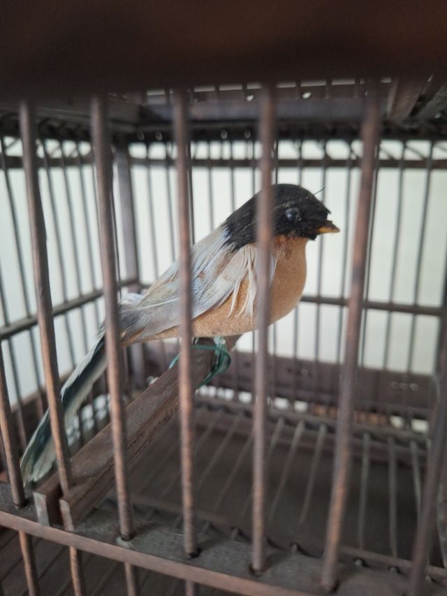 Jaula de Madera estilo Oriental