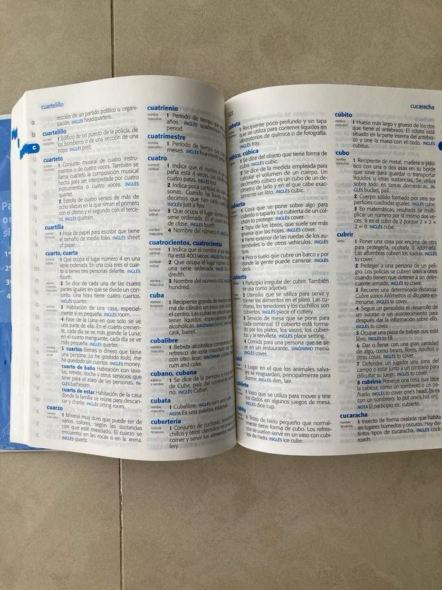 Diccionario de Primaria (Spanish and English Ed...