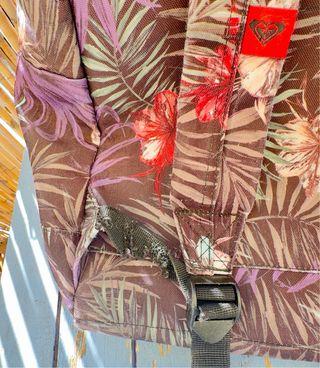 Mochila escolar Roxy