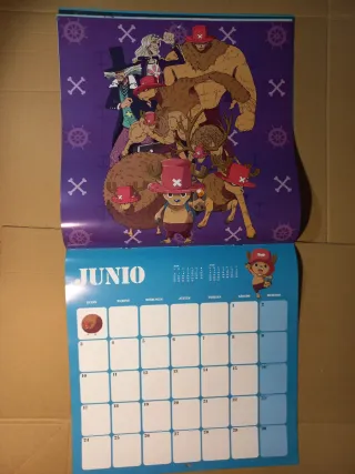 Shikishi y calendario One Piece