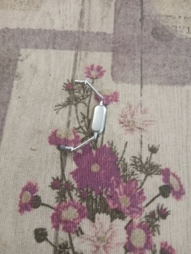 Rico Retrovisores camión/autobús