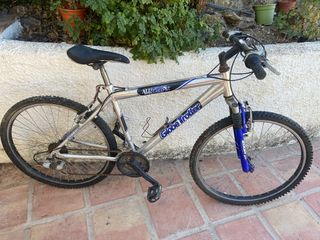 Bicicleta Globe Trotter 26" usada