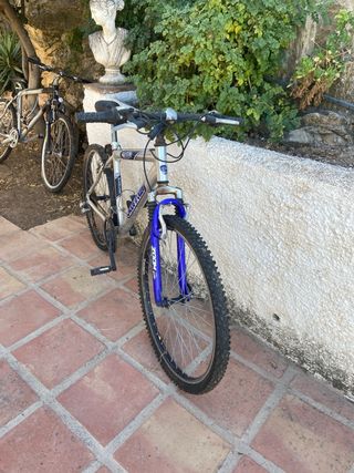 Bicicleta Globe Trotter 26" usada