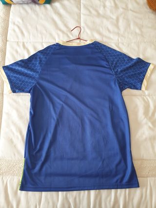 Camiseta Japon Goku