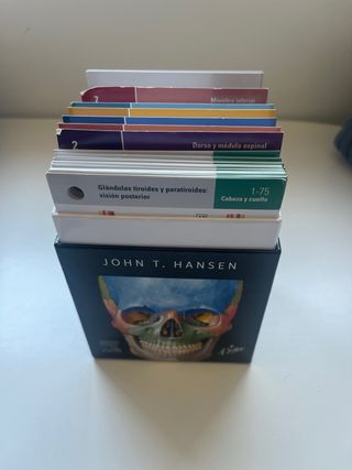 Netter. Flashcards de anatomía