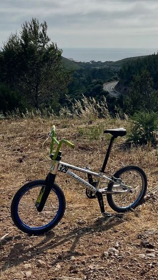 Bicicleta BMX Race SUNN Pro XL