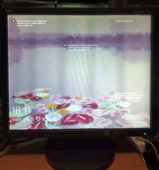 Monitor per computer LCD NEC AccuSync AS192-BK 19"