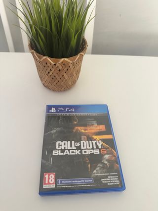 Call Of Duty Black Ops 6 PS4
