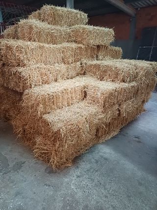 Alpacas de paja - Paja seca