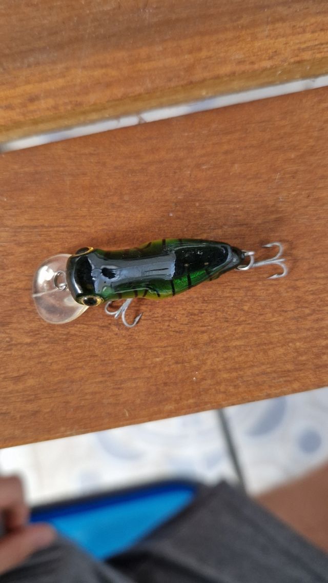 Señuelo Rapala de pesca