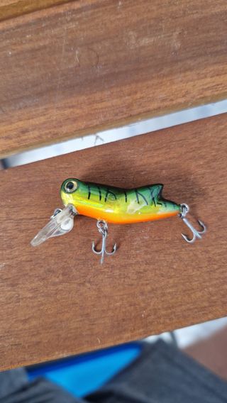 Señuelo Rapala de pesca