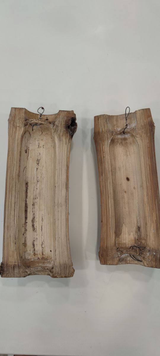 Cañas bambú grabadas - Decoración