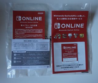 Custodia blu per Nintendo Switch Lite