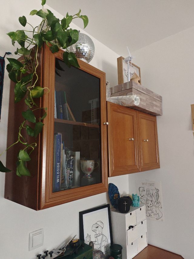 Muebles madera: Armario + archivador