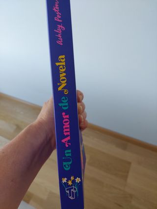 Un amor de novela (Spanish Edition)