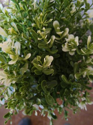 Planta artificial - Decoración hogar