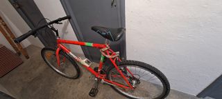 Bicicleta BH montaña