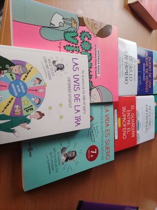 Libros Enfermera Saturada - 11uds