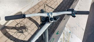 Bicicleta descenso Specialized