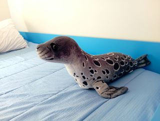 Peluche foca bebé