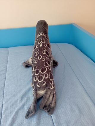 Peluche foca bebé