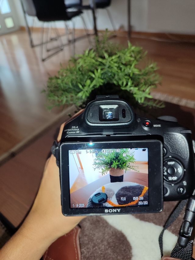 Sony Cyber-shot HX400V - Cámara compacta 50x