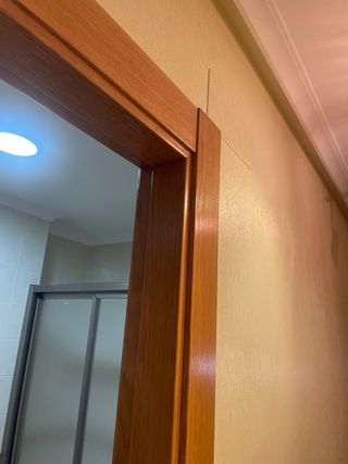 Puerta interior madera