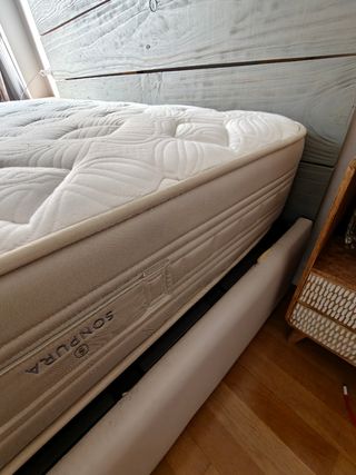 Cama con cabecero y colchón 22 sept. 