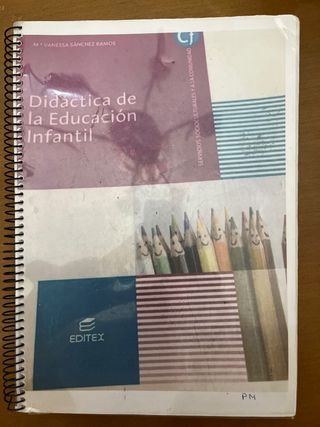 didactica de la educacion infantil